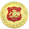 Fabrik Großhandel Bulk Billig Custom Custom 3D Black Chile Coin Chilean Airforce Challenge Münzen