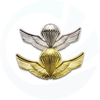 Veteranenabzeichen der Luftwaffe