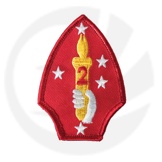 2. Marine Division Patch