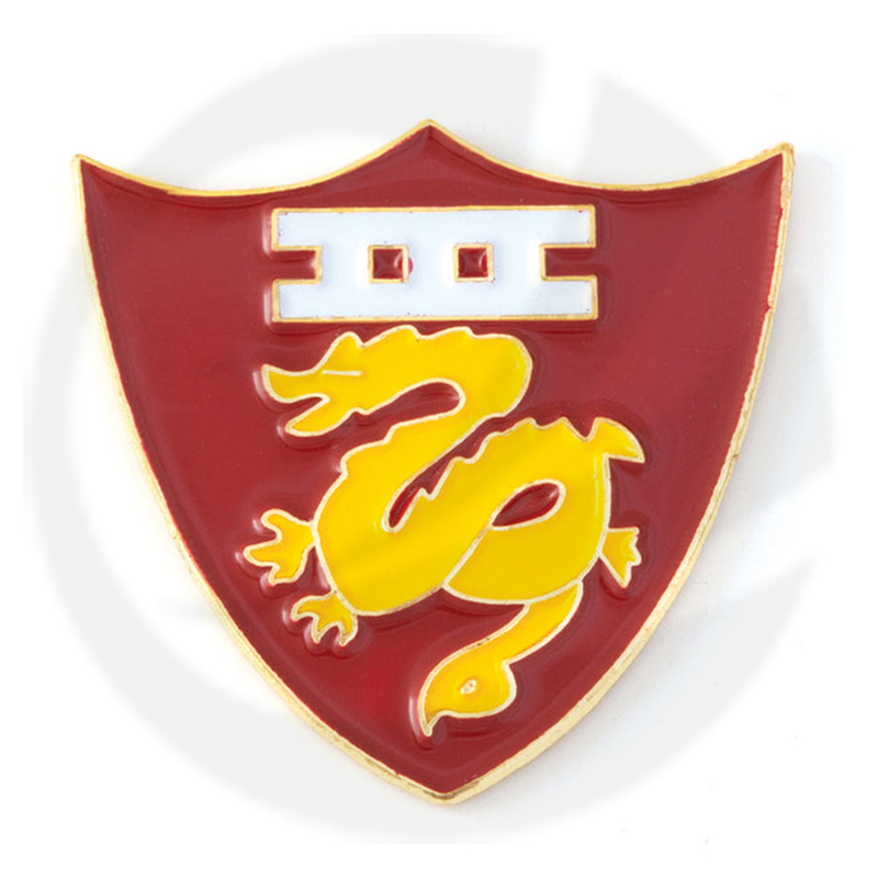 3. Marine Amphibious Force Pin