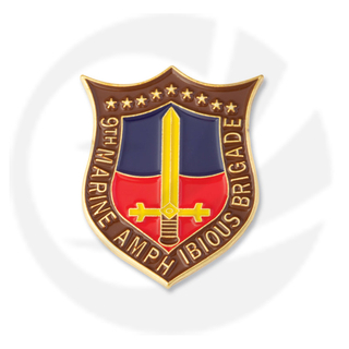 9. Marine Amphibious Brigade Pin