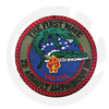 2. Amphibious Assault Bataillon Patch